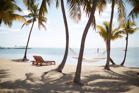 the moorings islamorada fl